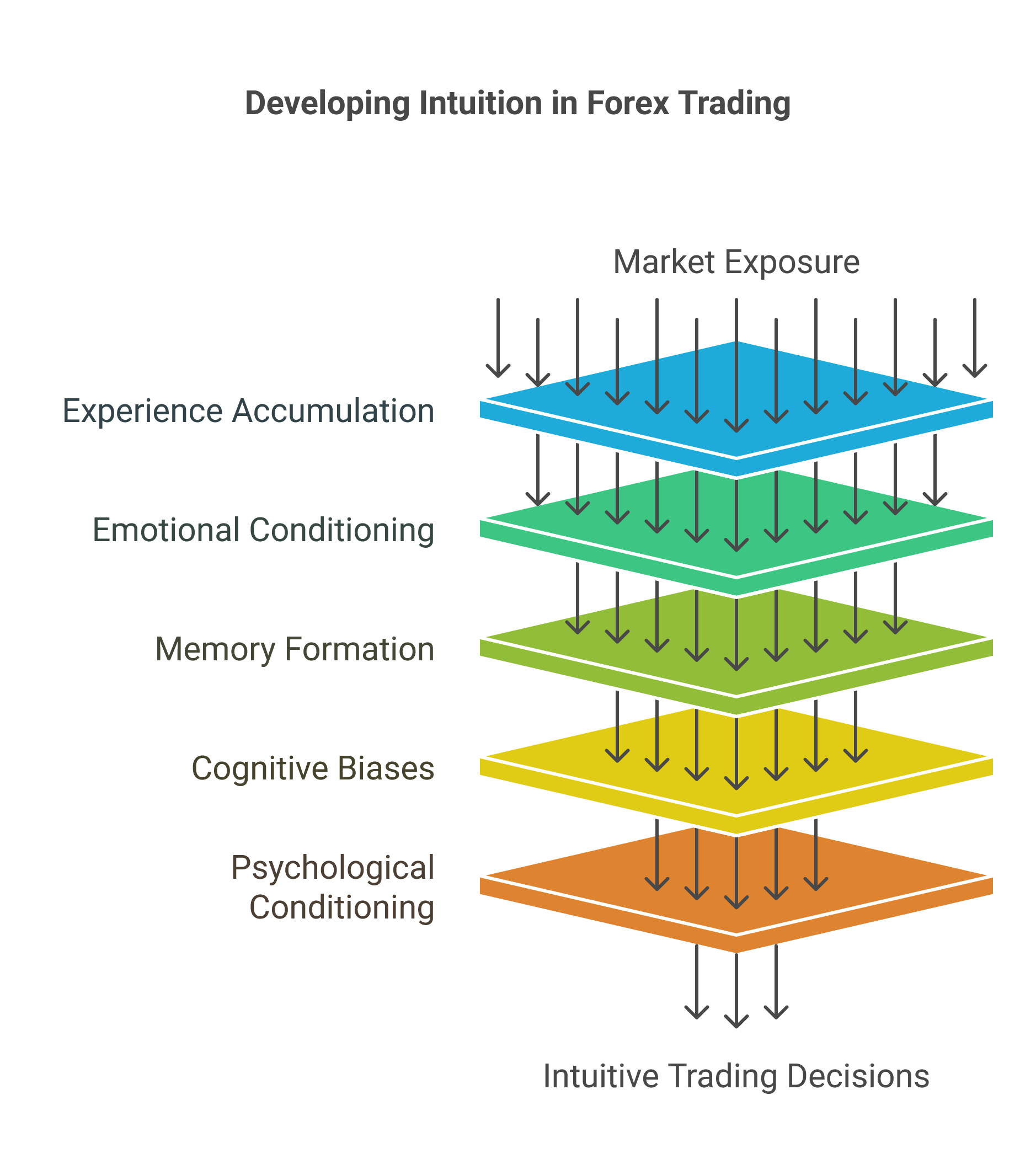 Intuition in Forex Trading