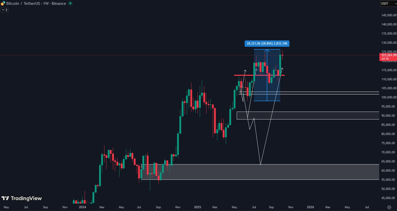 btc analyze final result